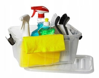 Cutie depozitare Plast Team Home Box cu capac, 31 L, Transparent Casidora